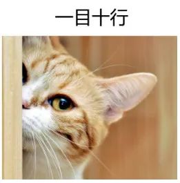 英语阅读理解到底怎么读 四大题型规律全揭秘