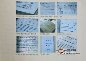 大益普洱茶品鉴升级版 精通普洱 先读为快