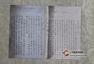 大益普洱茶品鉴升级版 精通普洱，先读为快