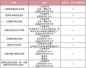 先读中专再读大专的优势分析